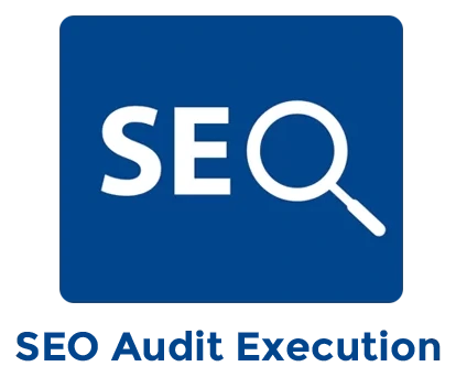 SEO Audit Execution