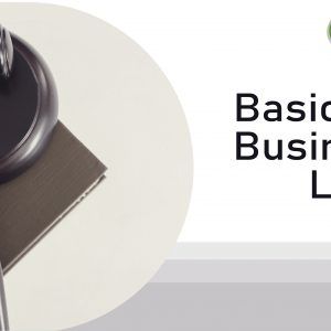 Basics of Business Laws