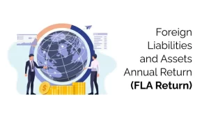 Foreign Liabilities and Assets Annual Return FLA Return