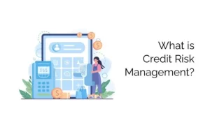 What Is Credit Risk Management