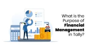 financial management in tally