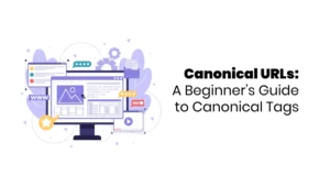 Canonical URLs img