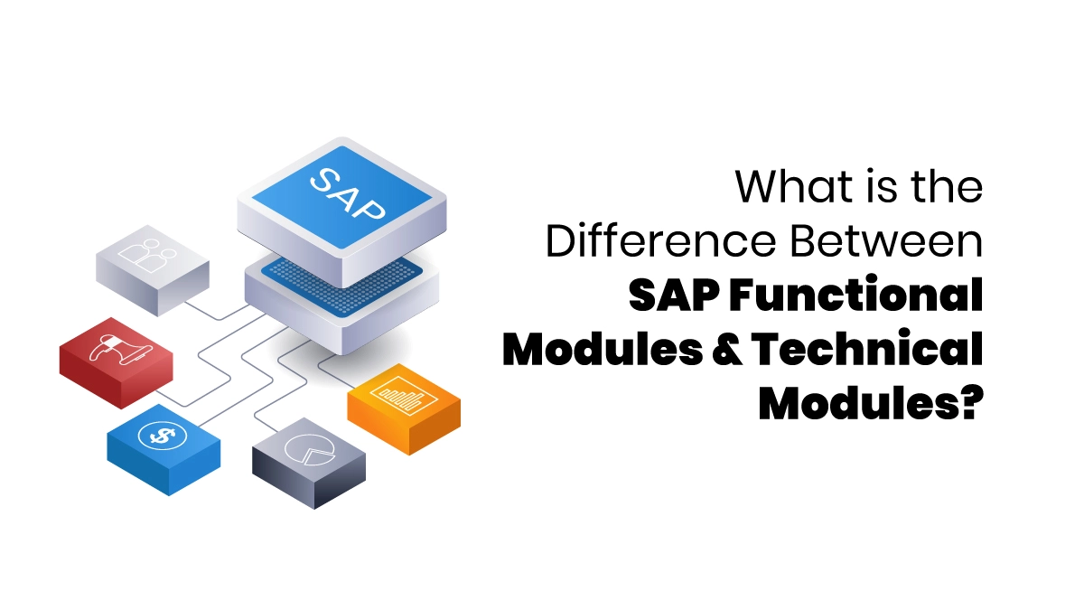 SAP functional and technical module
