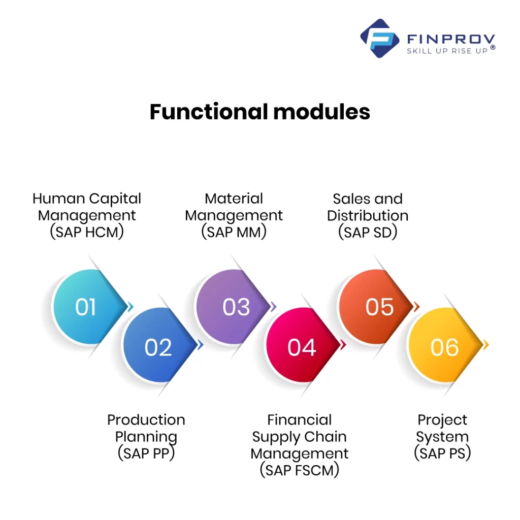 functional Module of SAP infographic image 