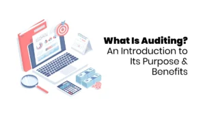 Auditing August 29 blog