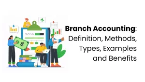 vector image showing branch accounting